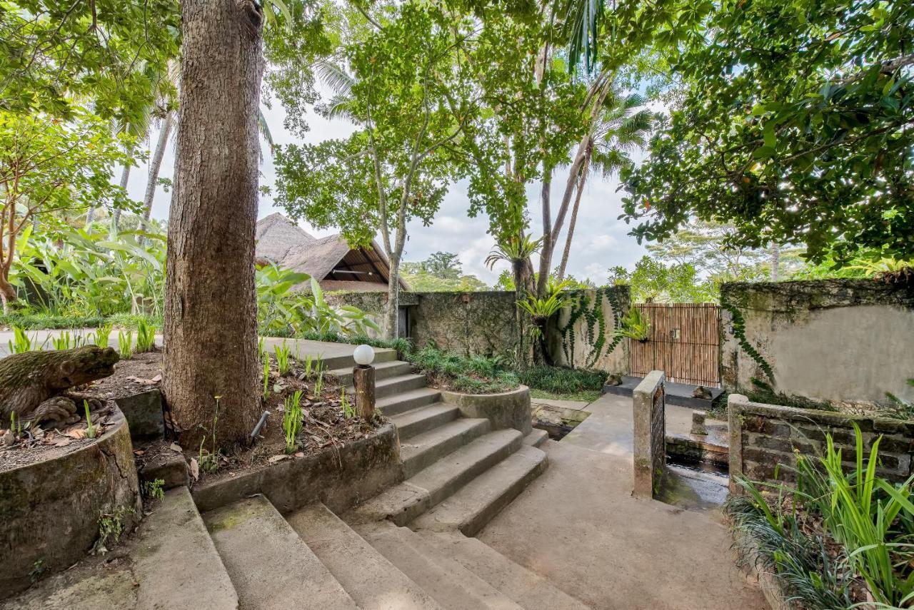 Villa Kelusa Ubud Exterior foto
